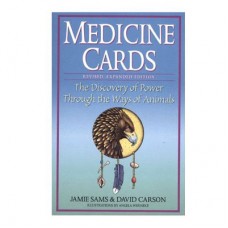 Medicine Cards Set