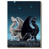 Notebook Draconis